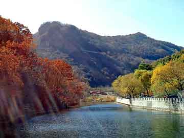 新澳天天开奖资料大全旅游团，李小璐视频种子